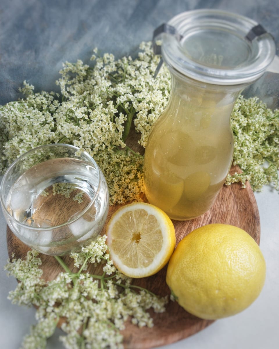 syrop z kwiatów czarnego bzu